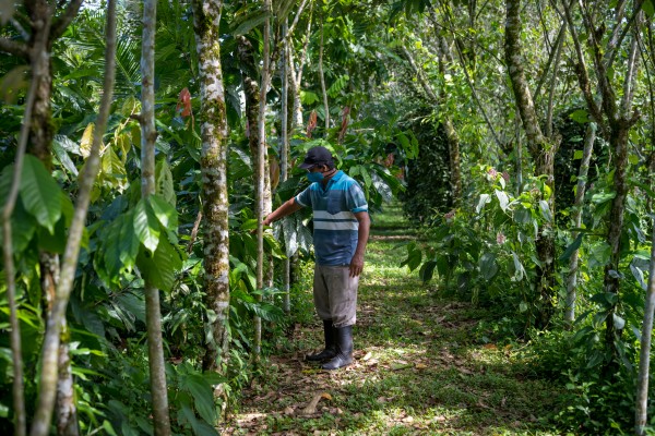 코스타리카 삼림 복원 프로그램